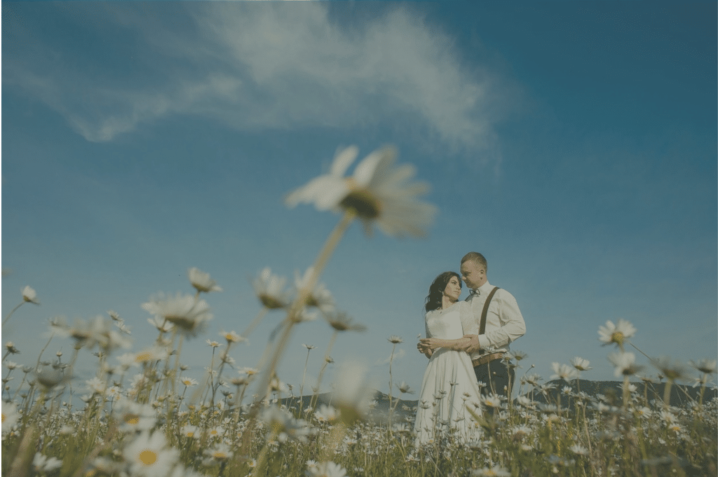 A couple stands in a field dressed in wedding attire